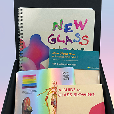 Preview of New Glass Now Project
