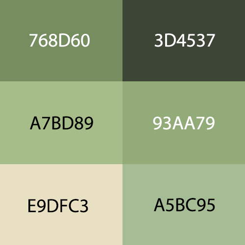 Initial color palette for Waggin' Trails brand identity.